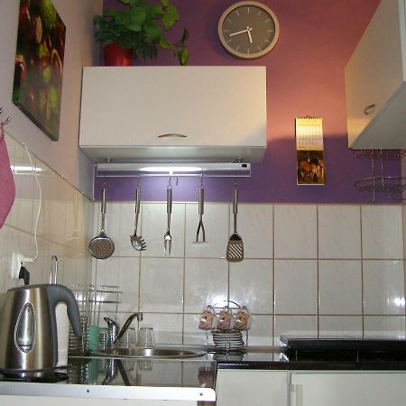 Apartament Dobra Nocka Krynica Zdroj Eksteriør billede
