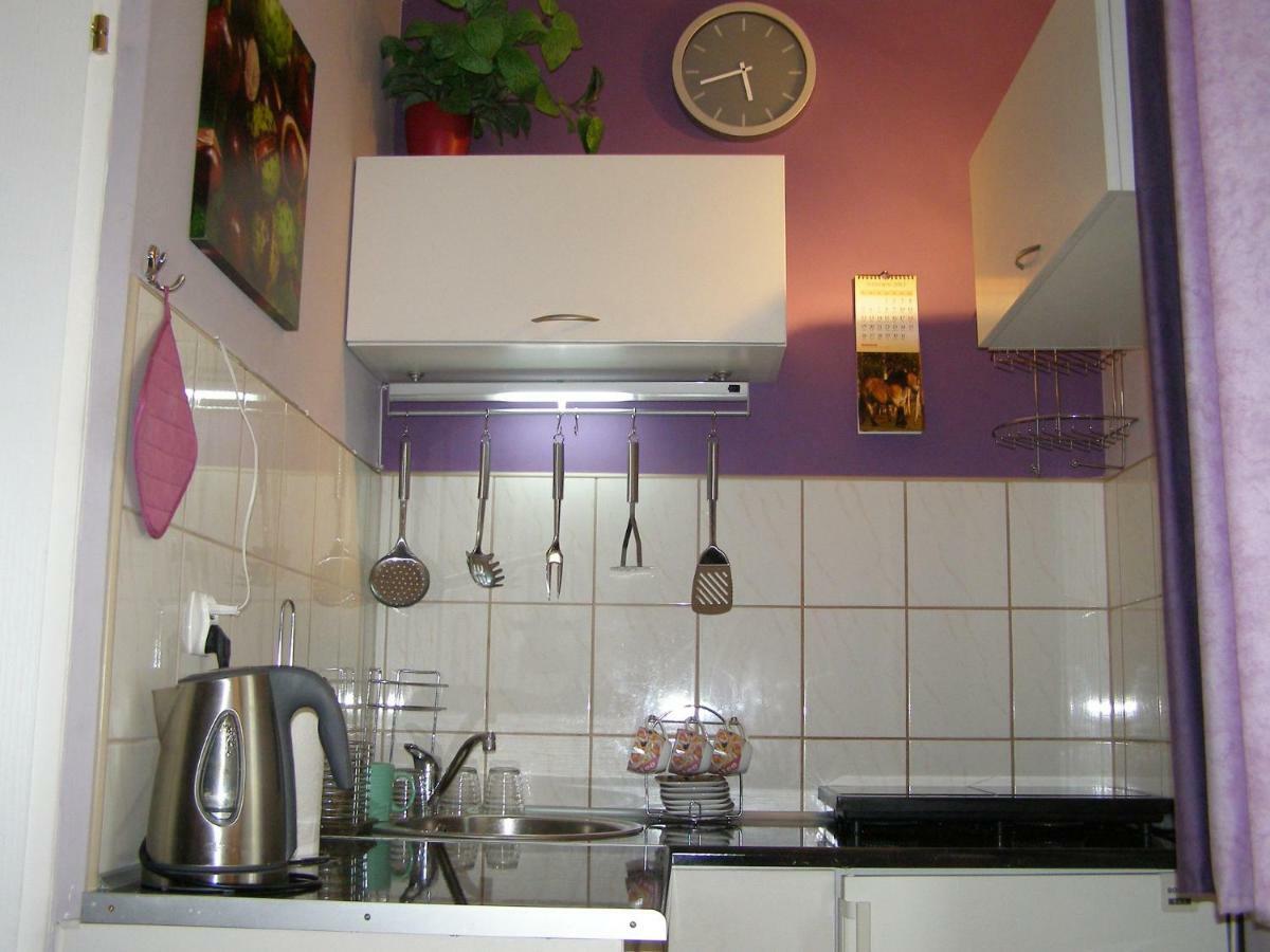 Apartament Dobra Nocka Krynica Zdroj Eksteriør billede